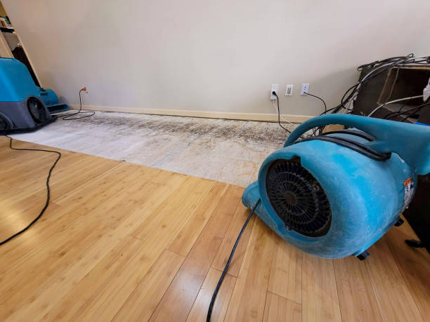 Reliable Basement Flood Cleanup contractor in Sherwood, WI by Hirex Water Damage