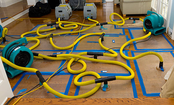 Professional Basement Flood Cleanup technician working in Sherwood, WI